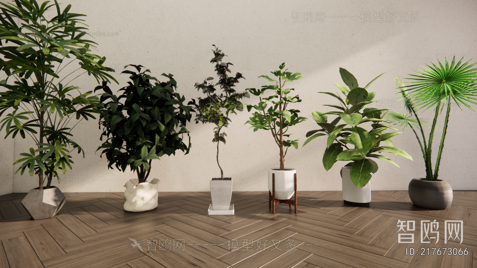 Modern Ground Green Plant Potted Plants
