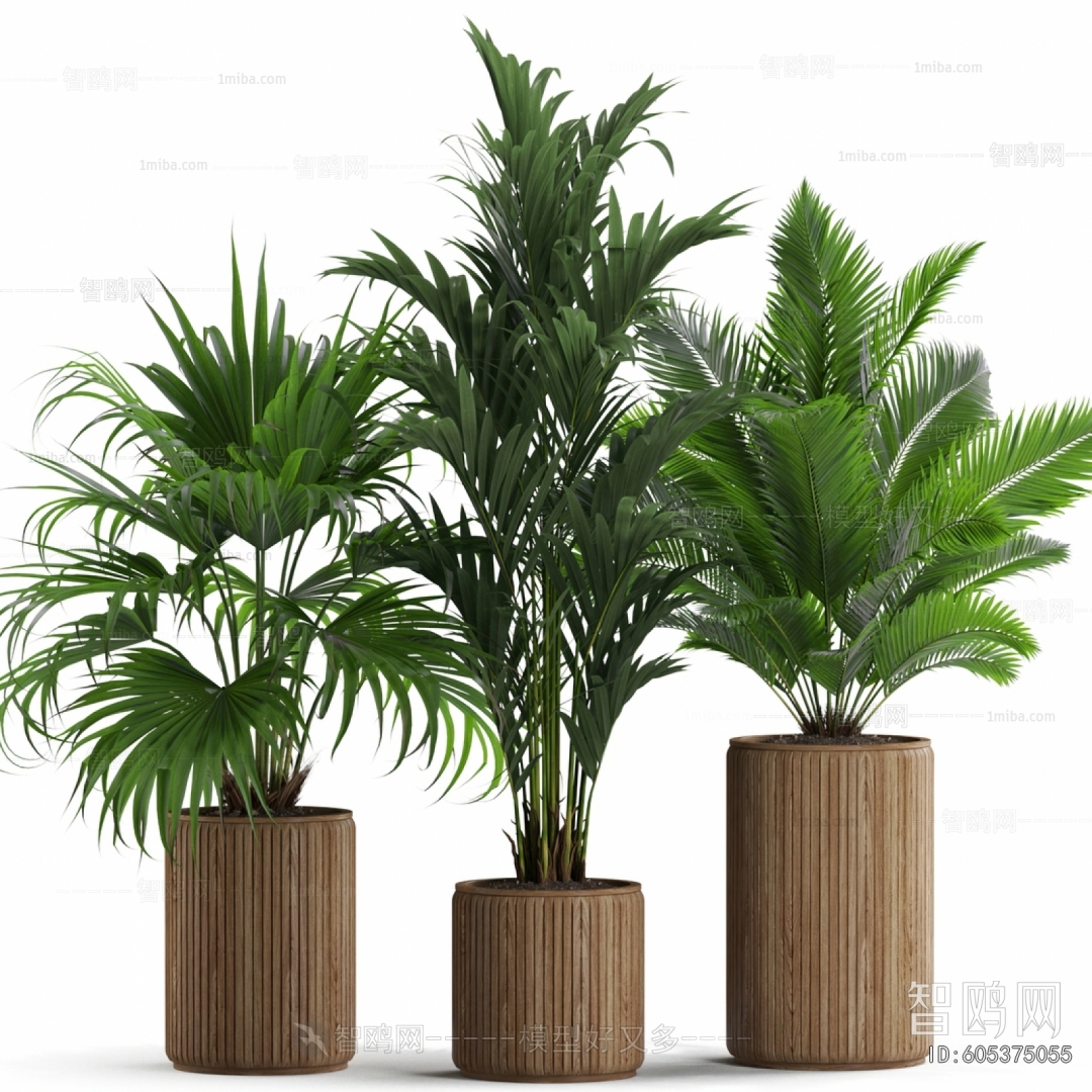 Modern Ground Green Plant Potted Plants
