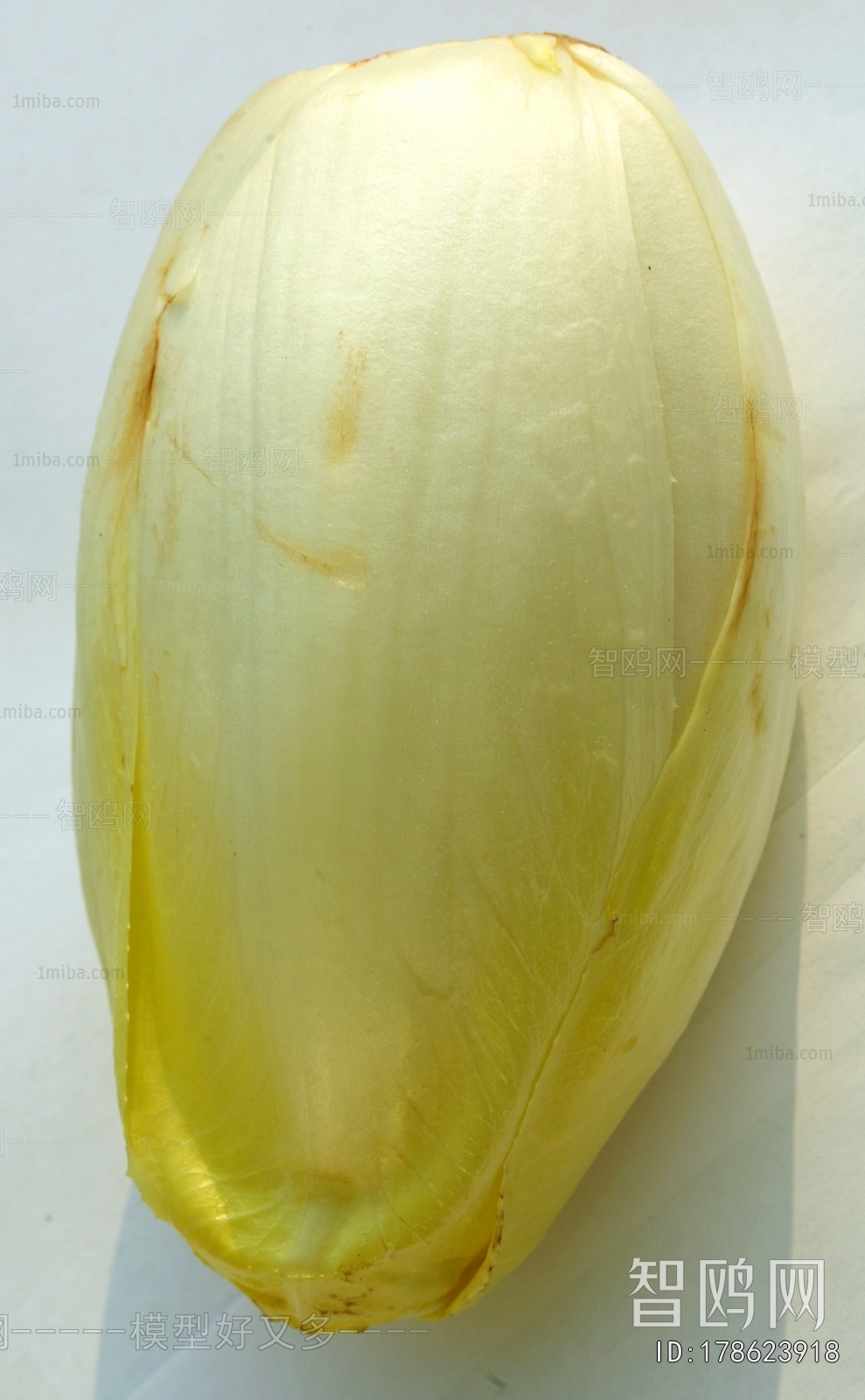 食物蔬菜