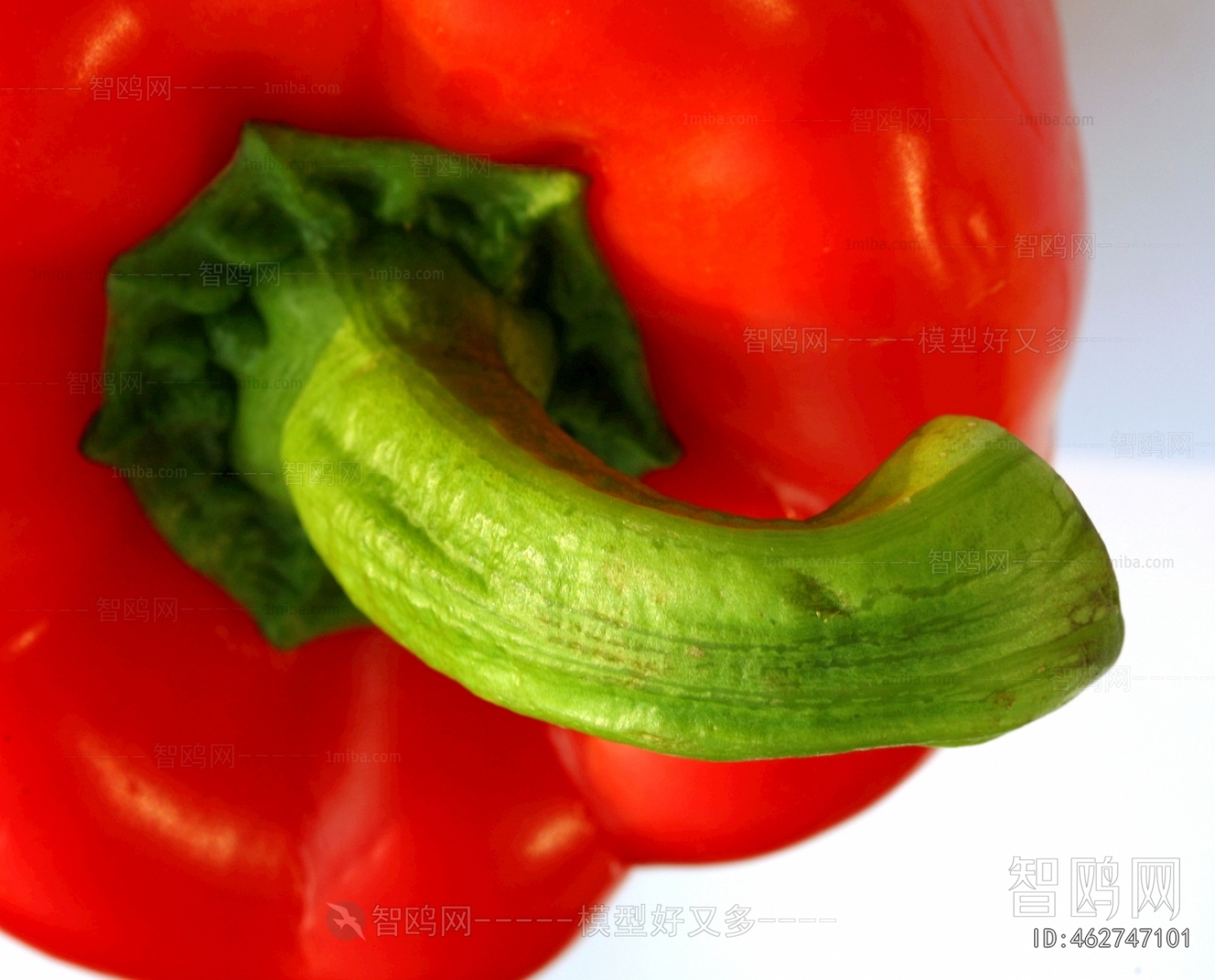 食物蔬菜