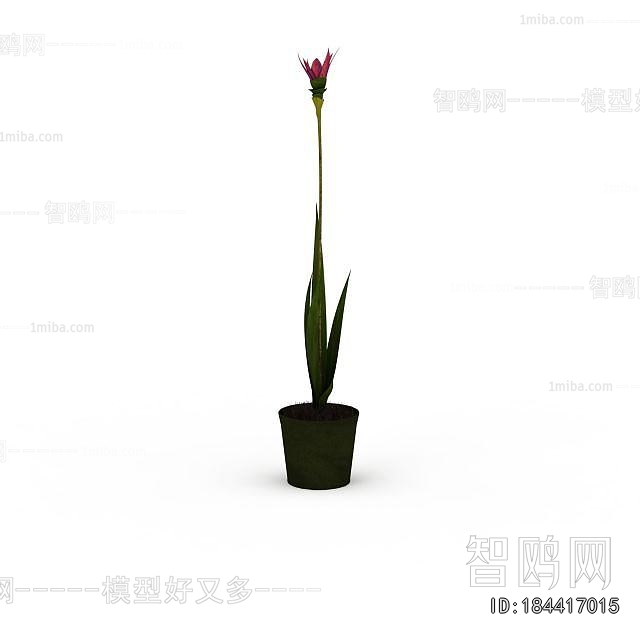 Modern Potted Green Plant