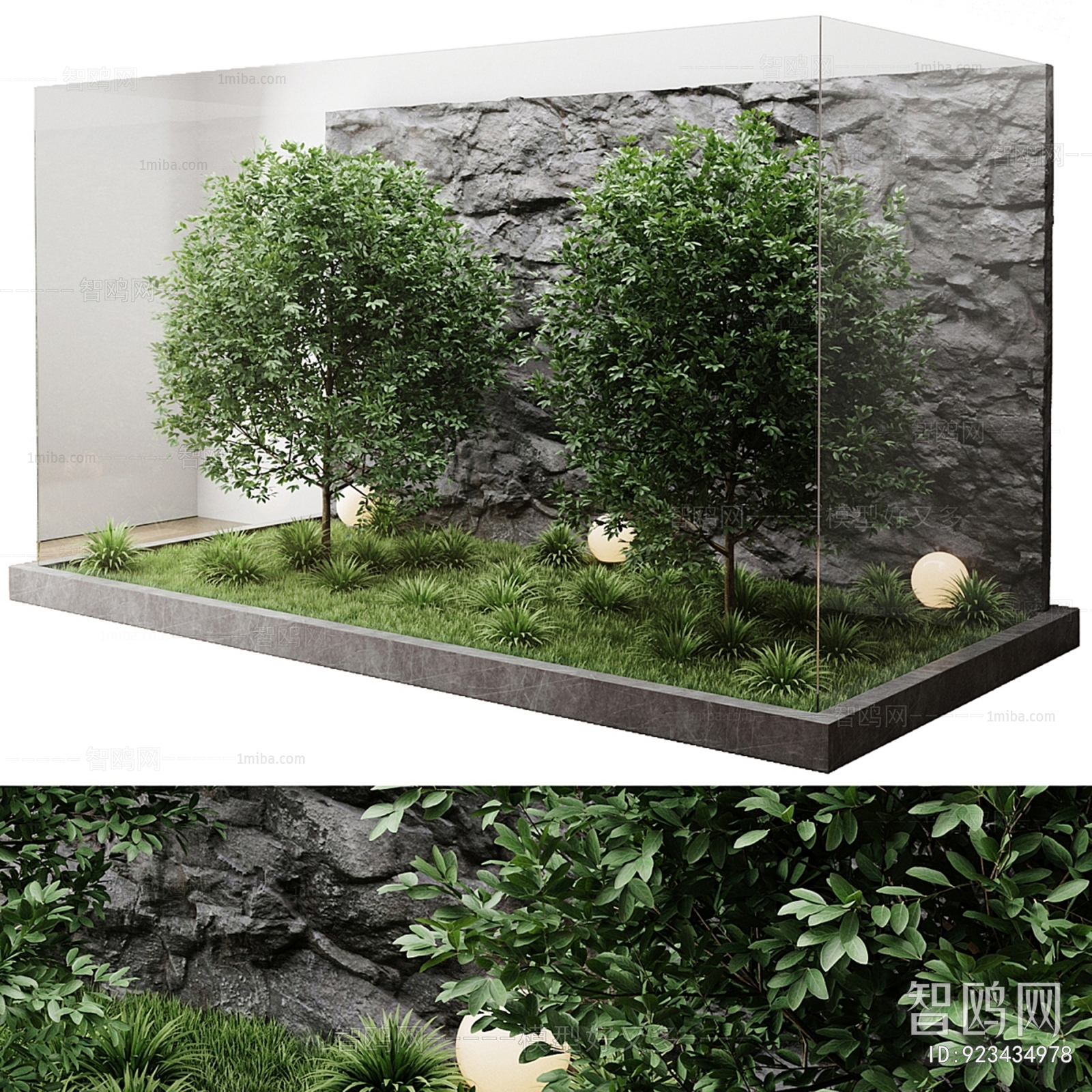 Modern Plant Landscaping