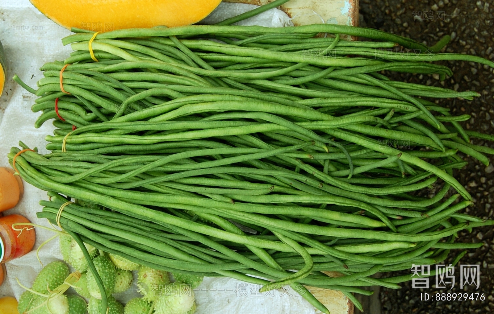 食物蔬菜