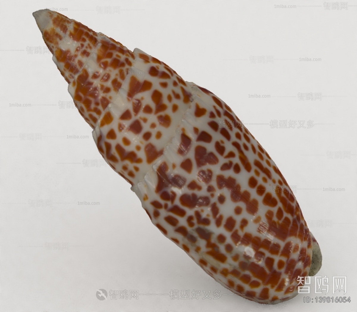 Modern Aquatic Animals