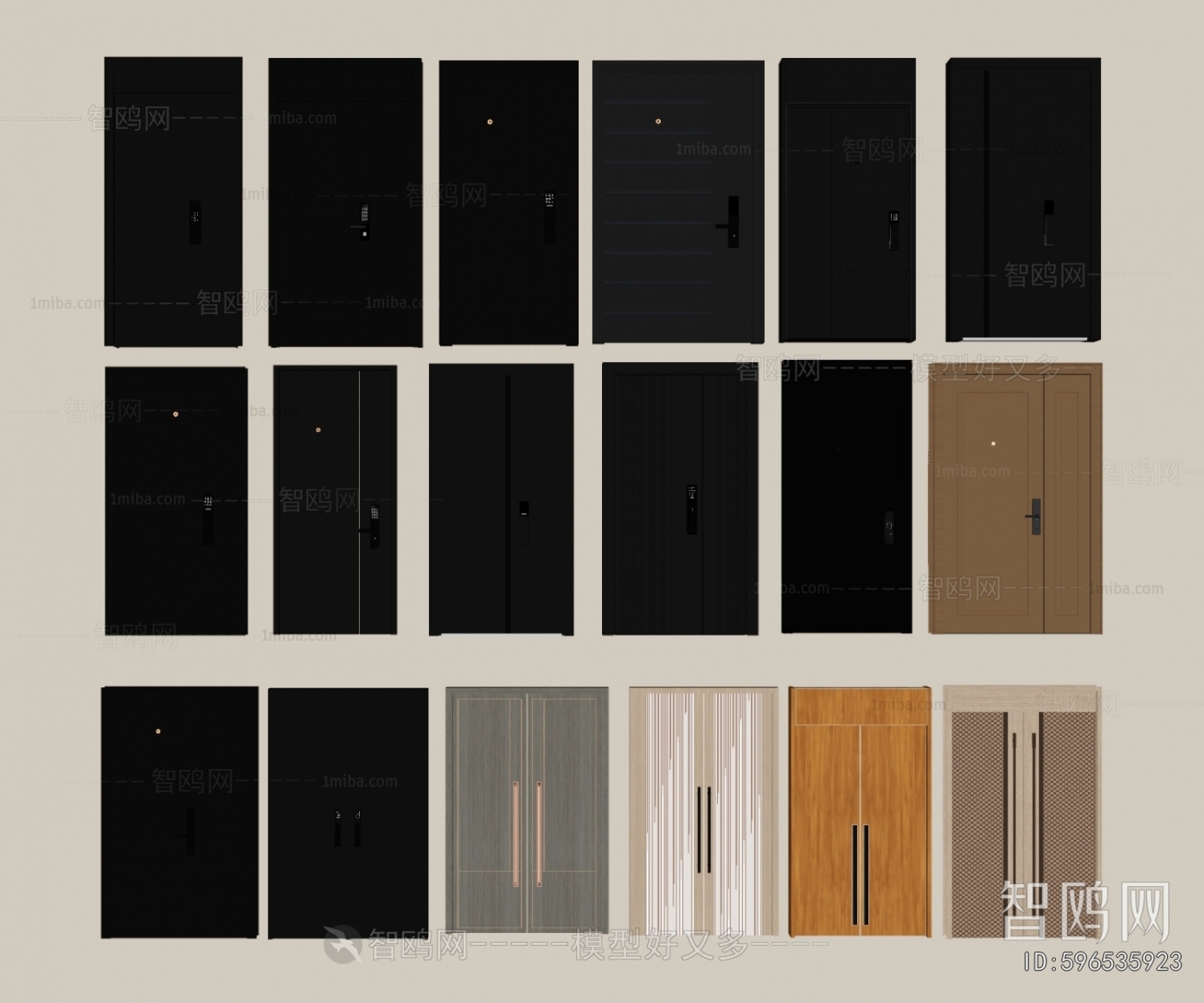 Modern Entrance Door