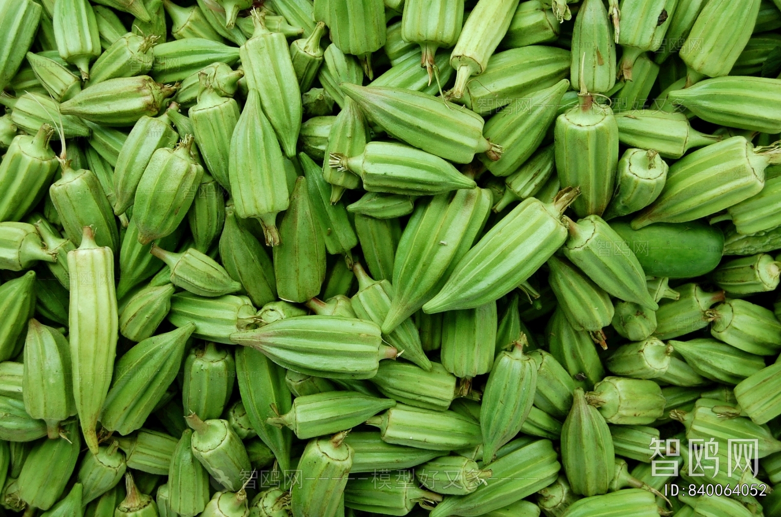 食物蔬菜