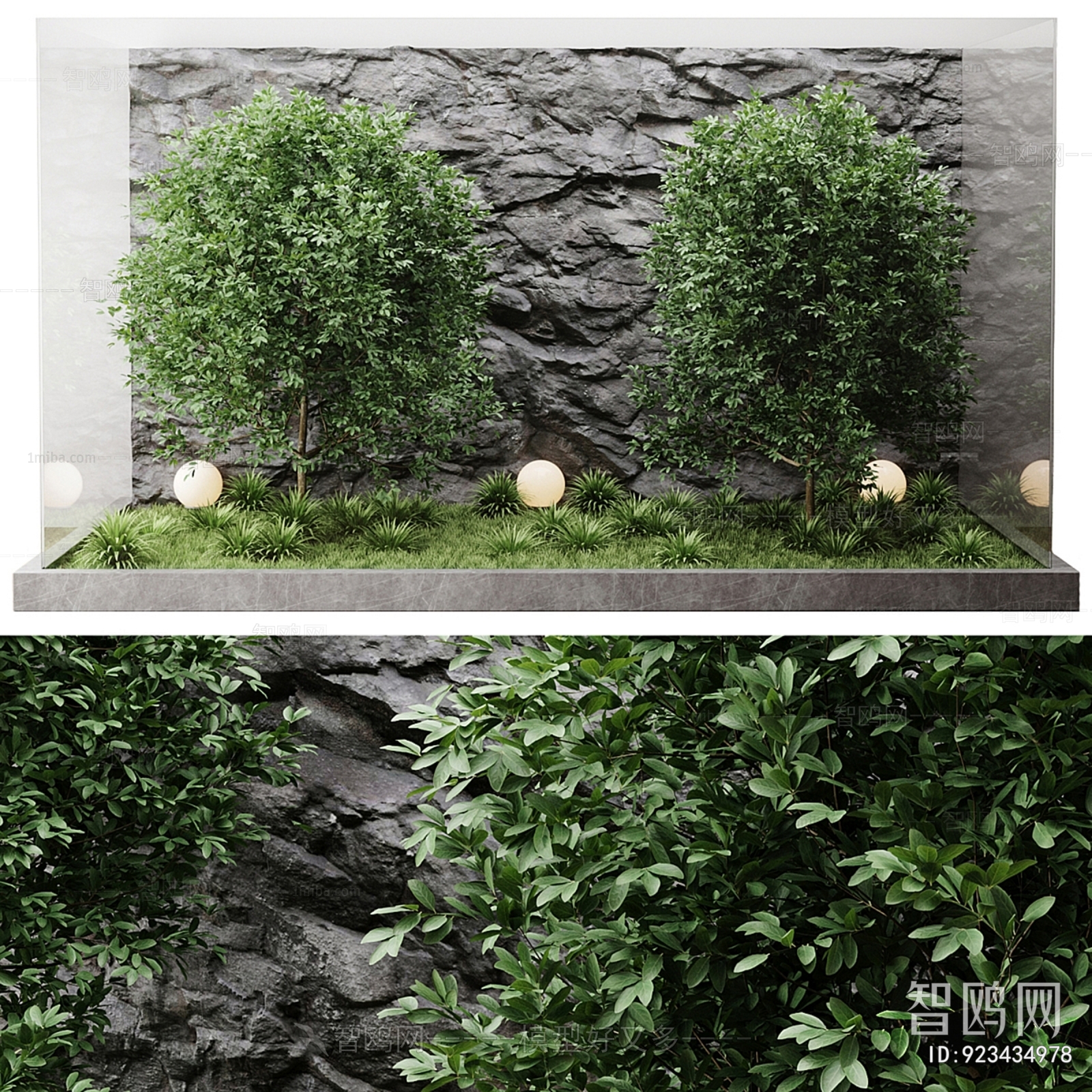 Modern Plant Landscaping