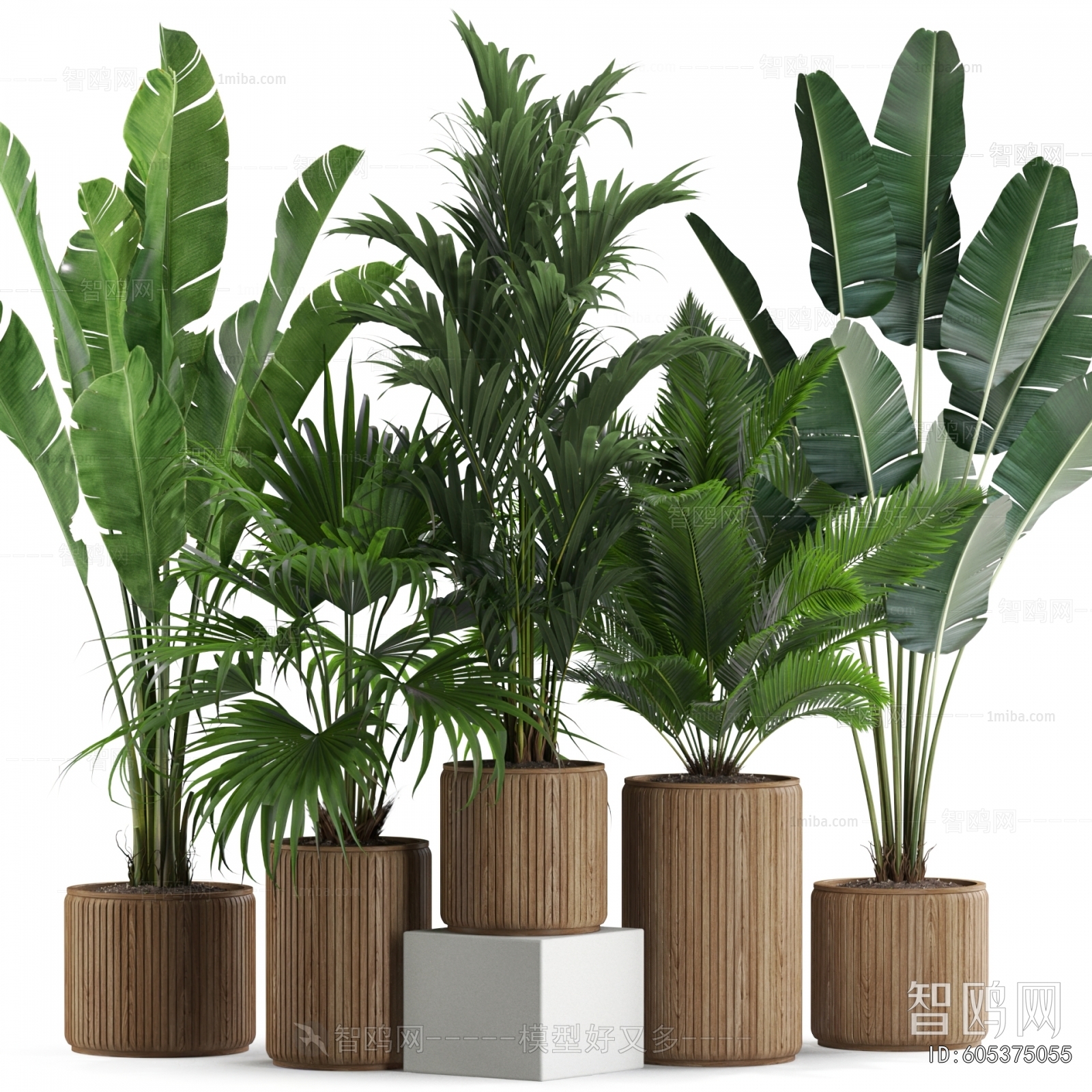 Modern Ground Green Plant Potted Plants