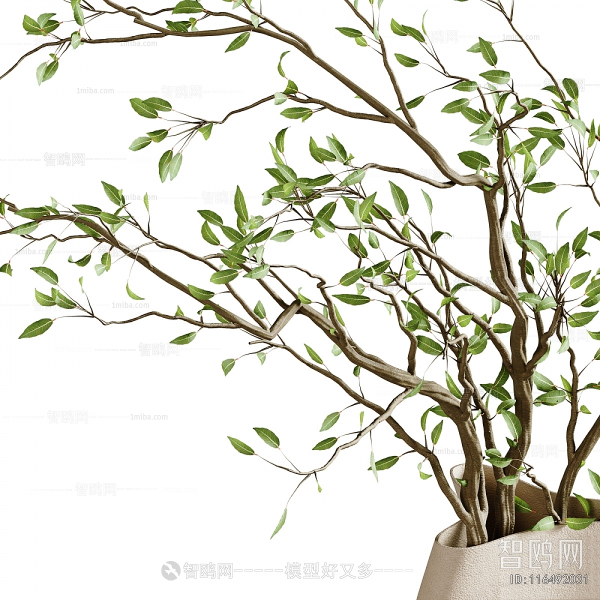 Modern Aquatic Green Plant