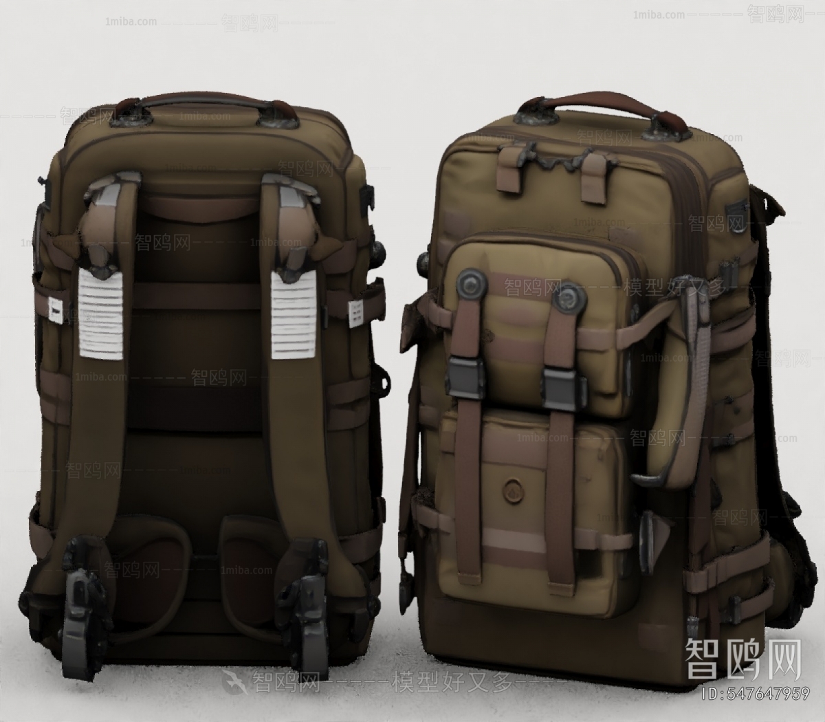 Modern Backpack And Backpack