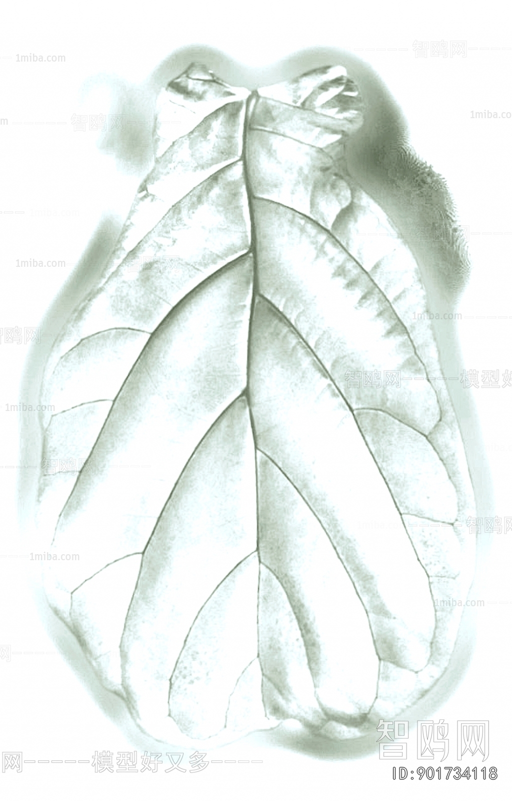 Plant Leaves