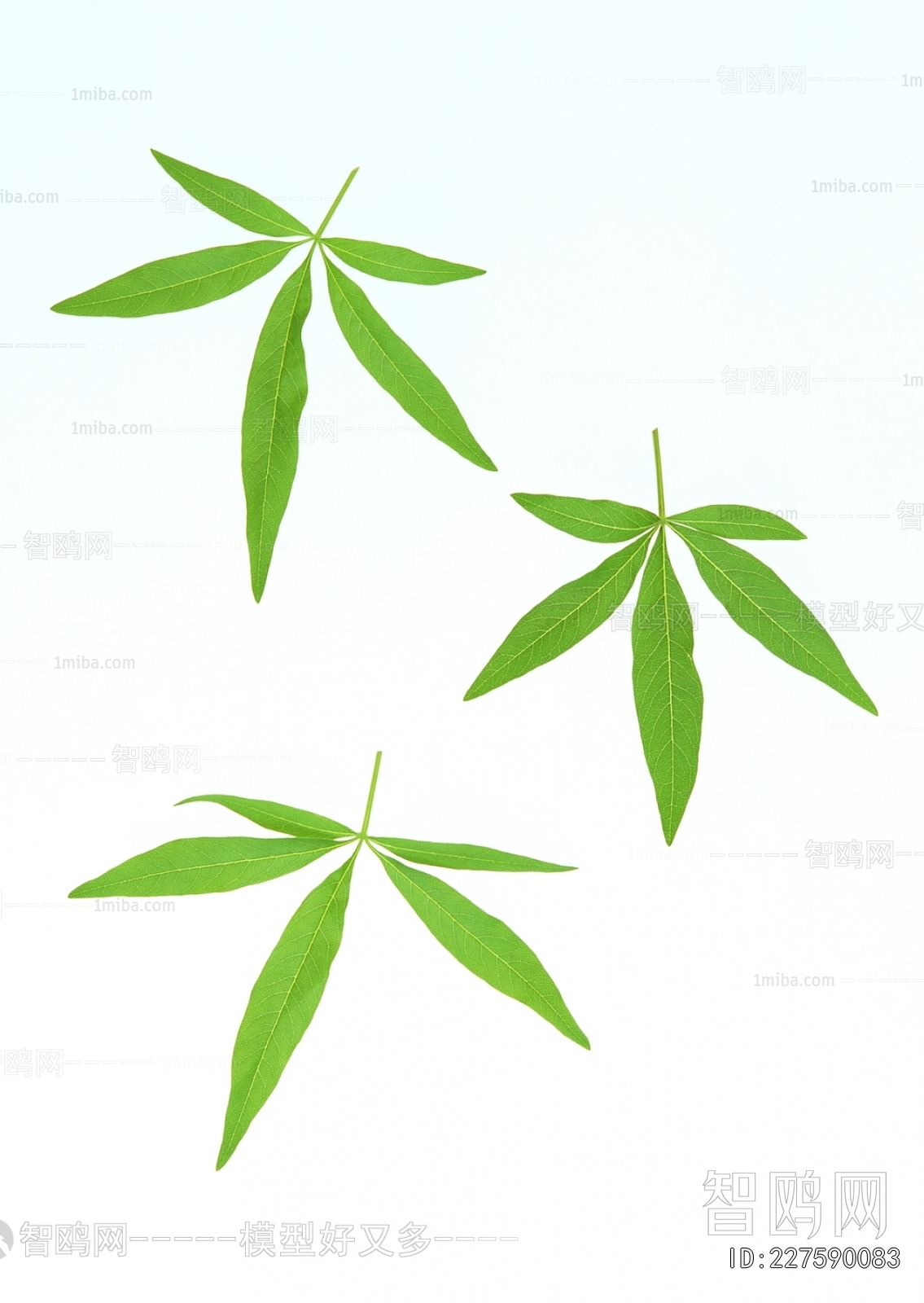 植物树叶