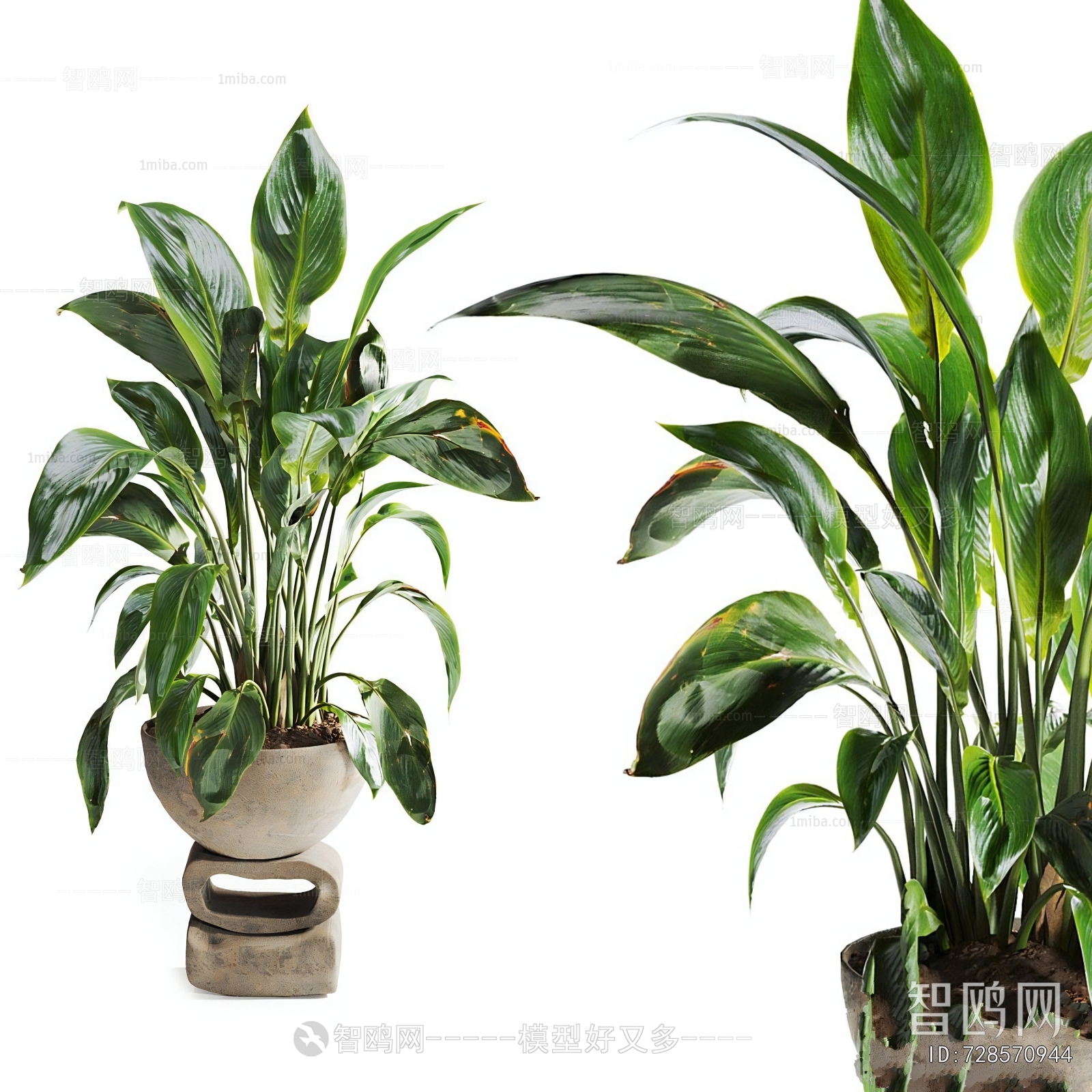 Modern Ground Green Plant Potted Plants
