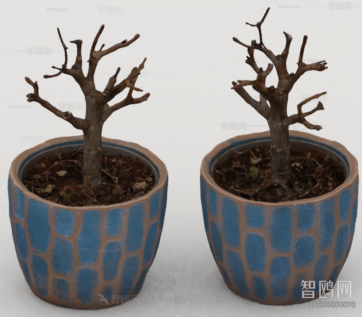 Modern Desktop Plant