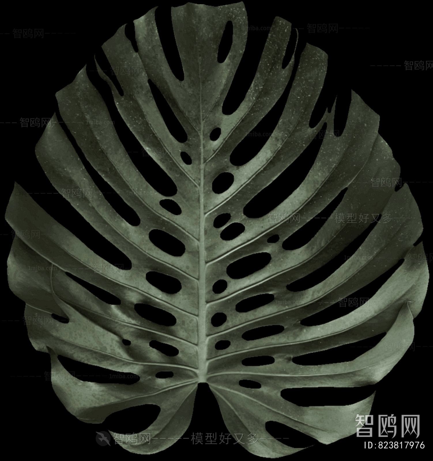 植物树叶