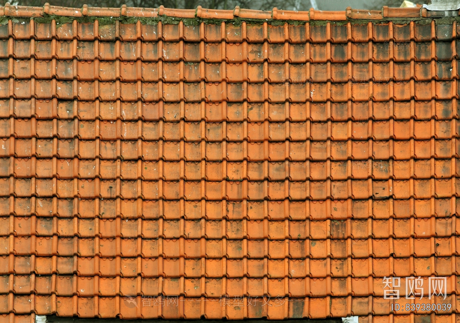 Roof Tiles