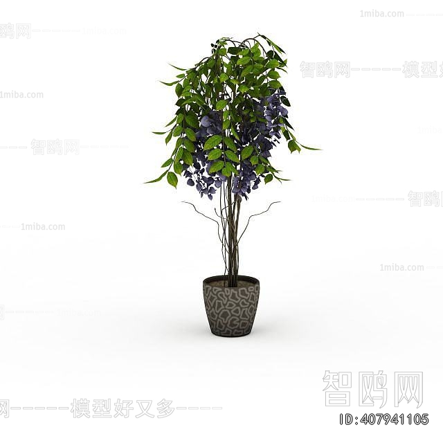 Modern Ground Green Plant Potted Plants