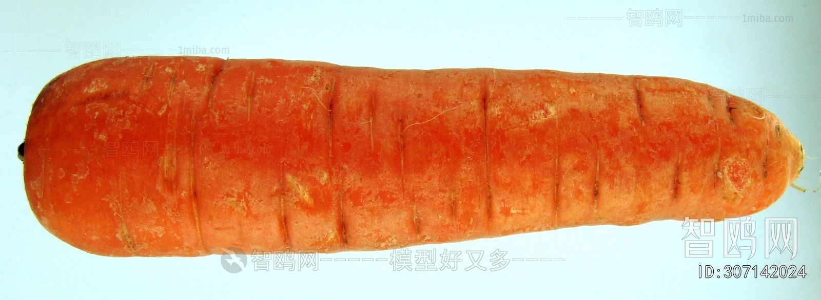 食物蔬菜