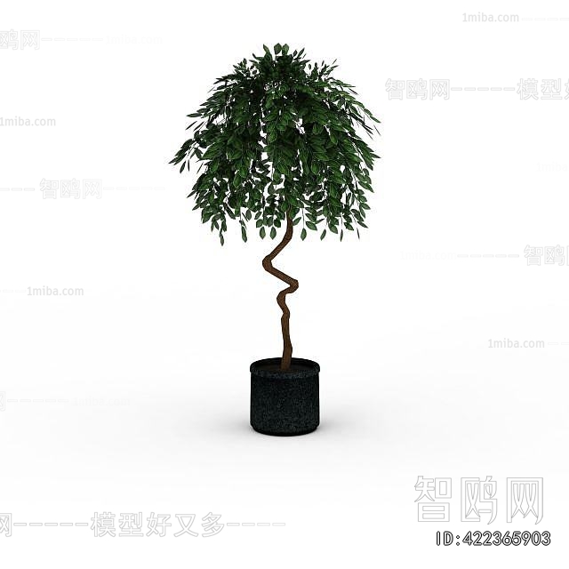 Modern Ground Green Plant Potted Plants