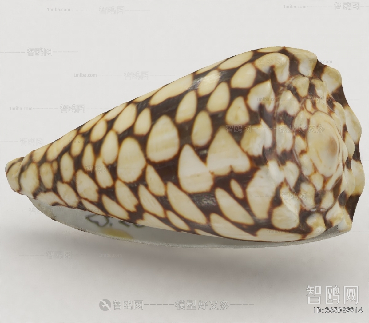 Modern Aquatic Animals