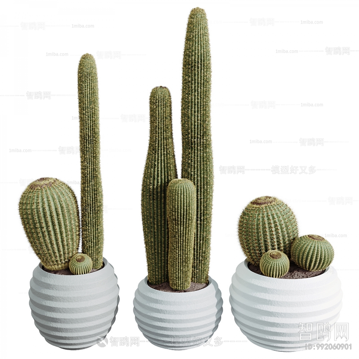 Modern Potted Green Plant