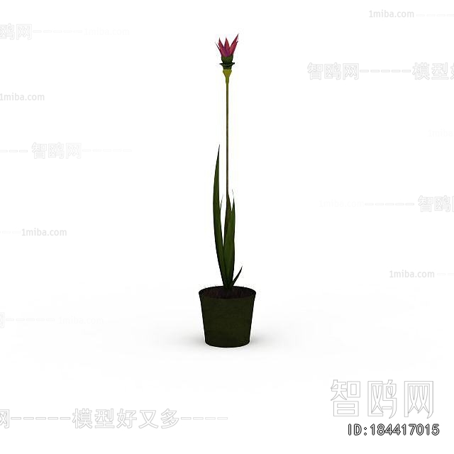 Modern Potted Green Plant