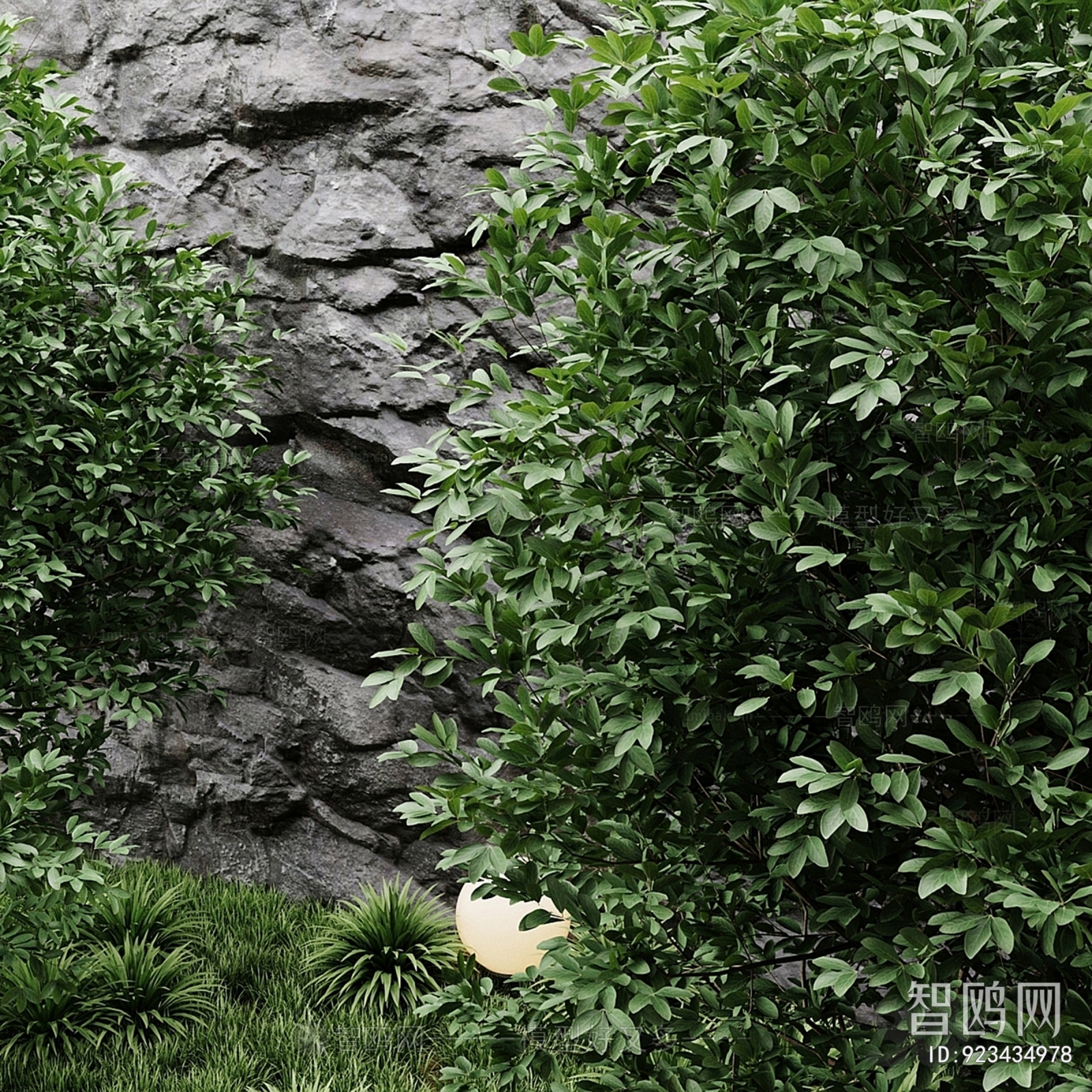 Modern Plant Landscaping