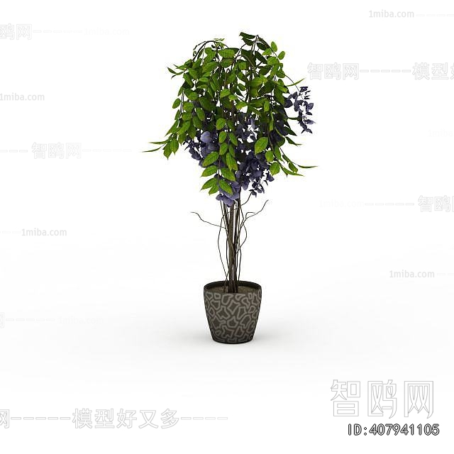Modern Ground Green Plant Potted Plants