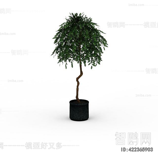 Modern Ground Green Plant Potted Plants