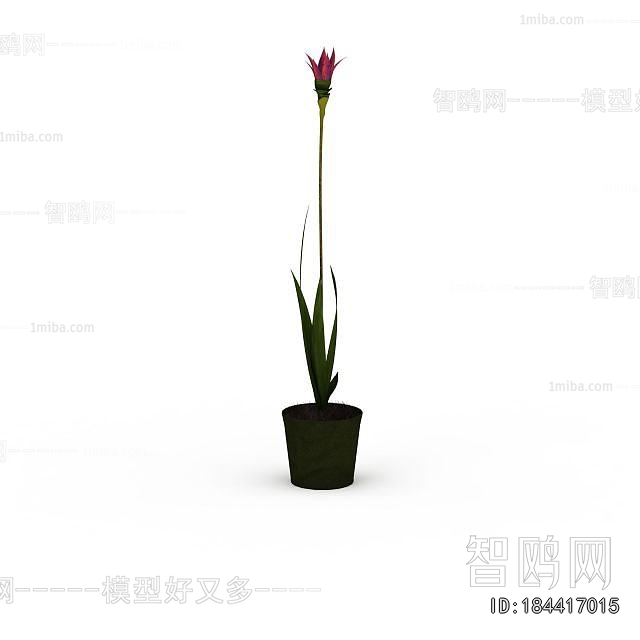 Modern Potted Green Plant