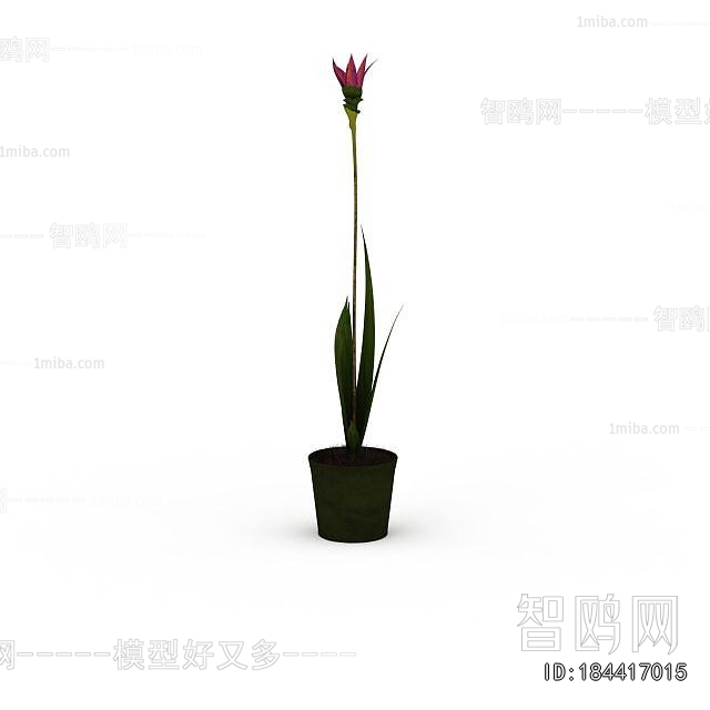 Modern Potted Green Plant