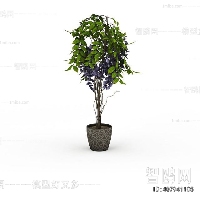 Modern Ground Green Plant Potted Plants