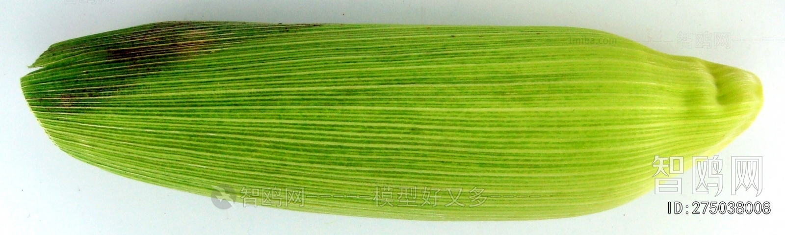 食物蔬菜