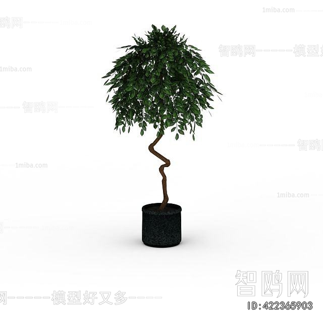 Modern Ground Green Plant Potted Plants
