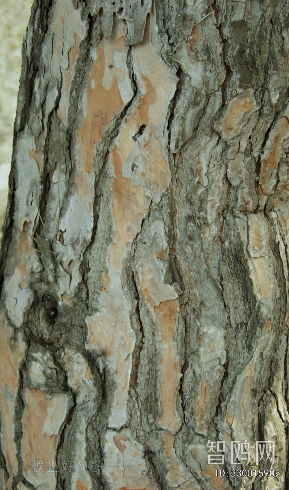 Bark Texture
