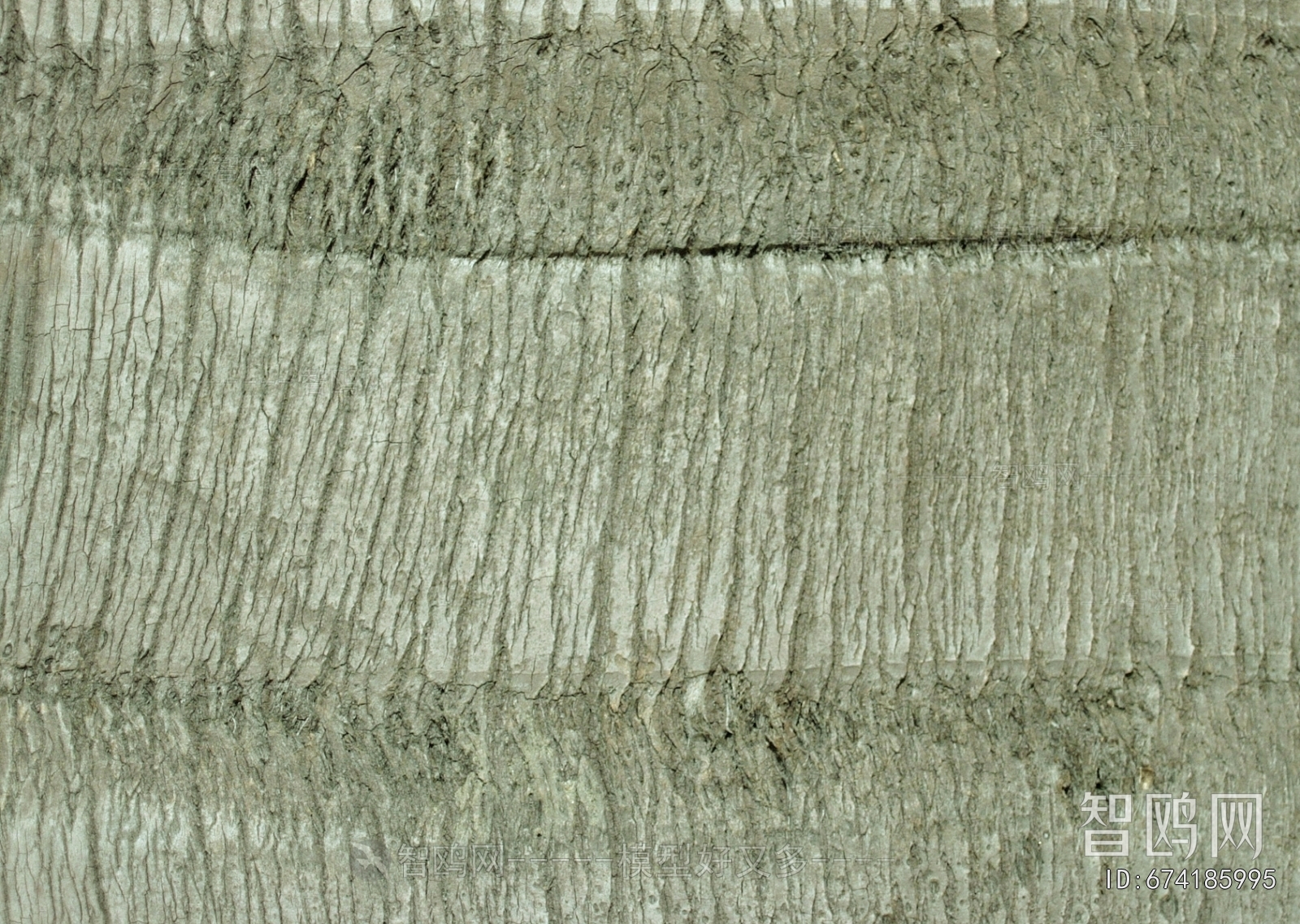 Bark Texture