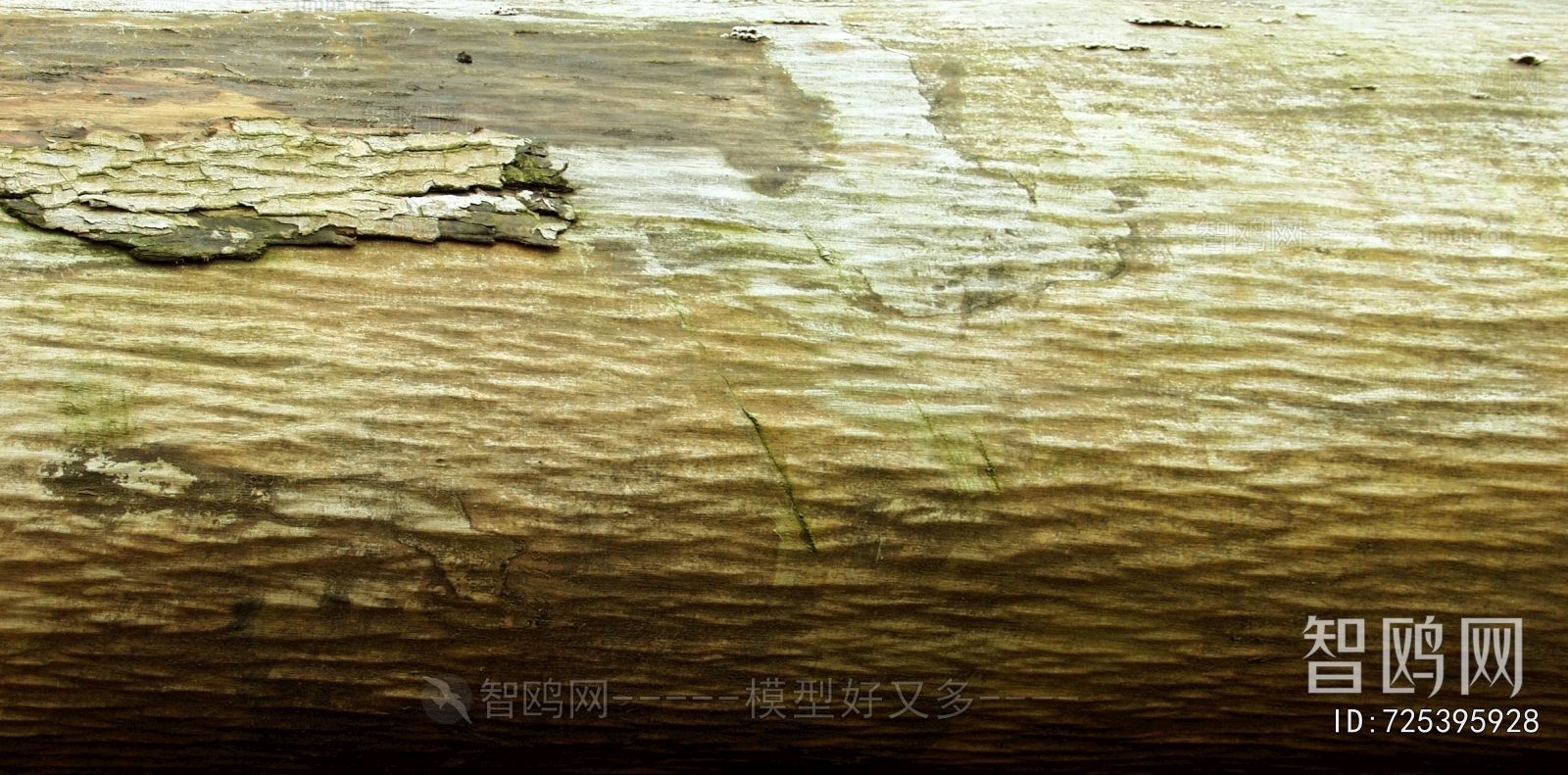 Bark Texture