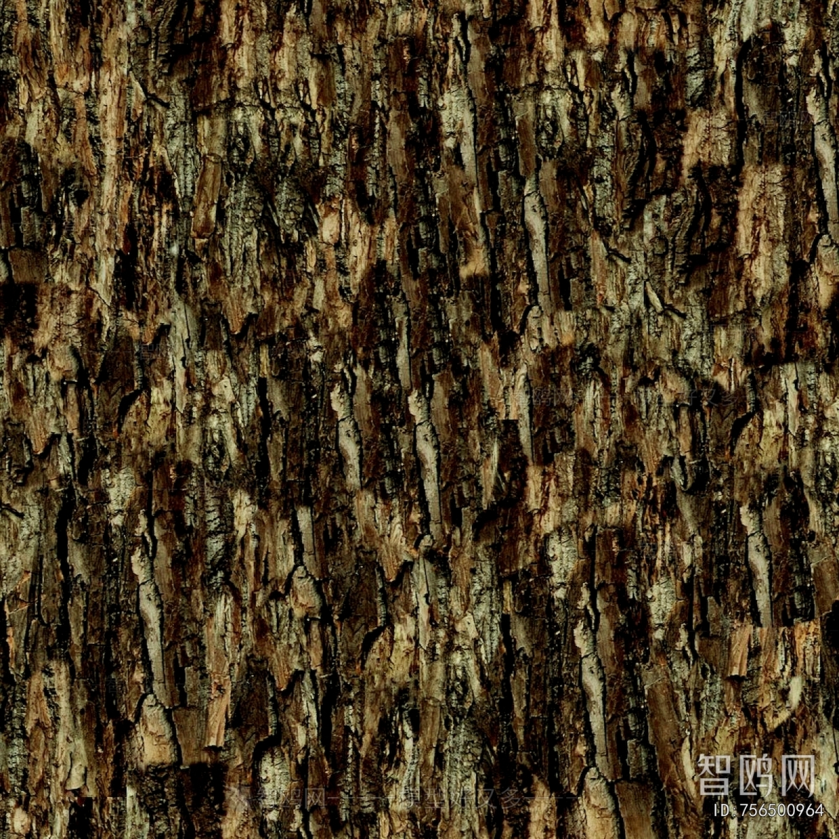 Bark Texture