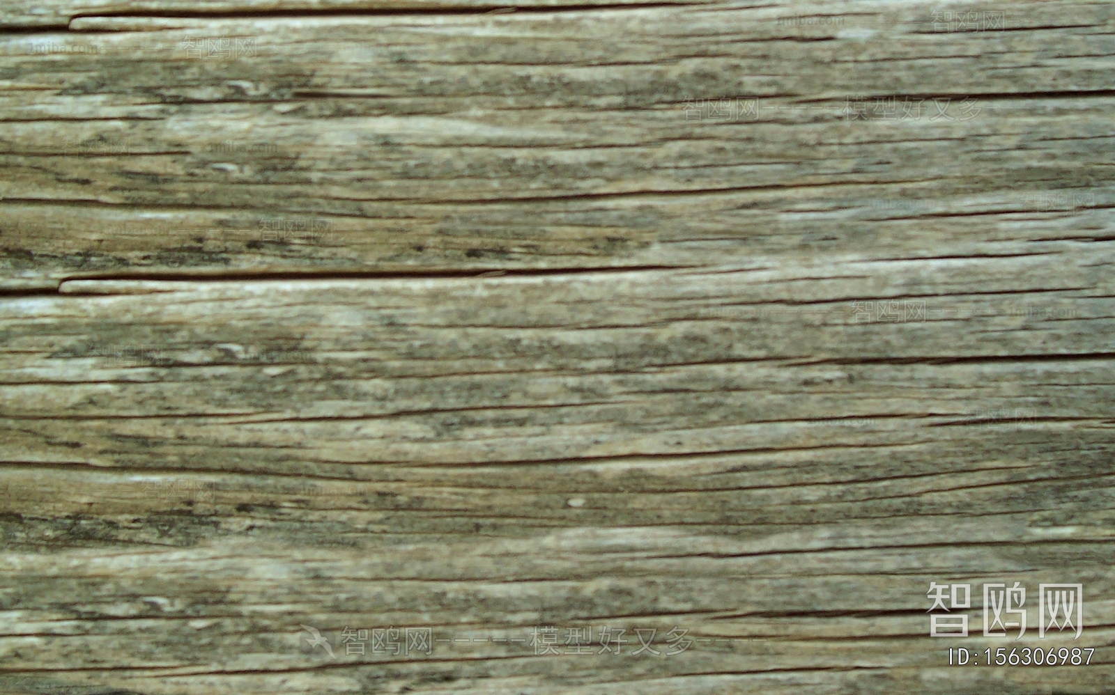 Bark Texture
