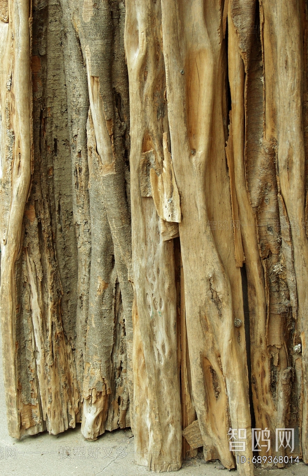 Bark Texture