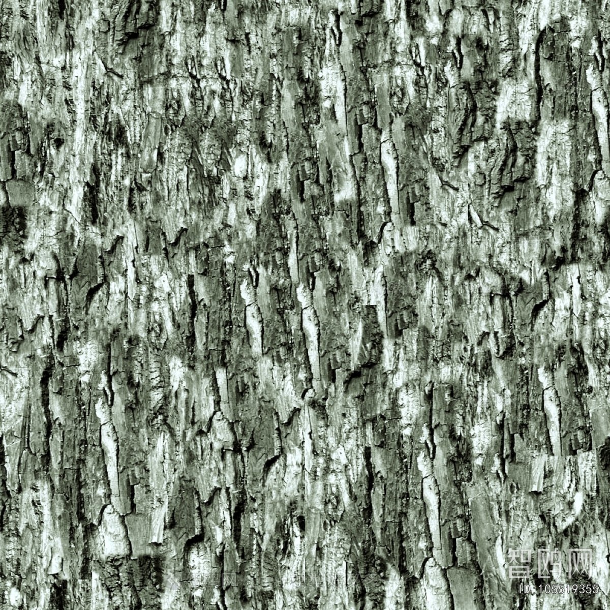 Bark Texture