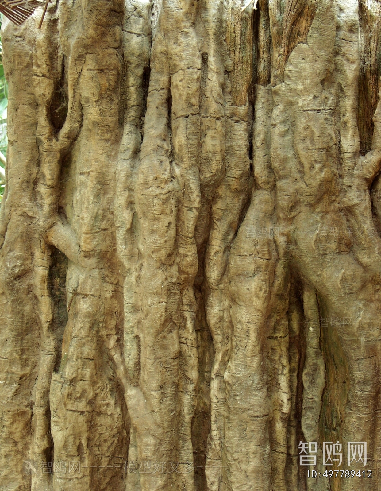 Bark Texture