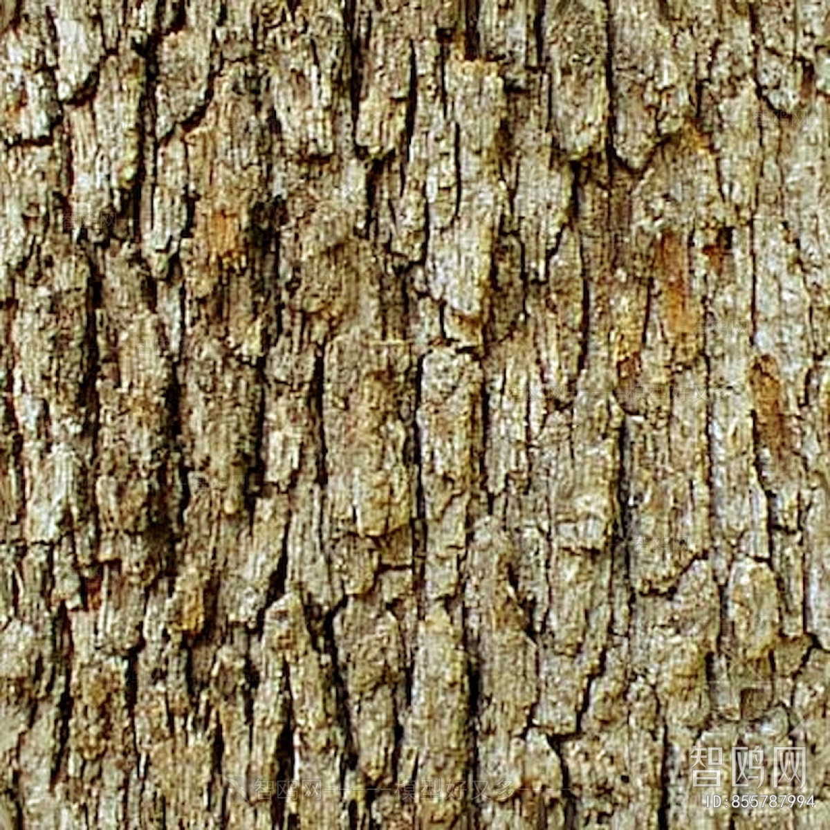 Bark Texture