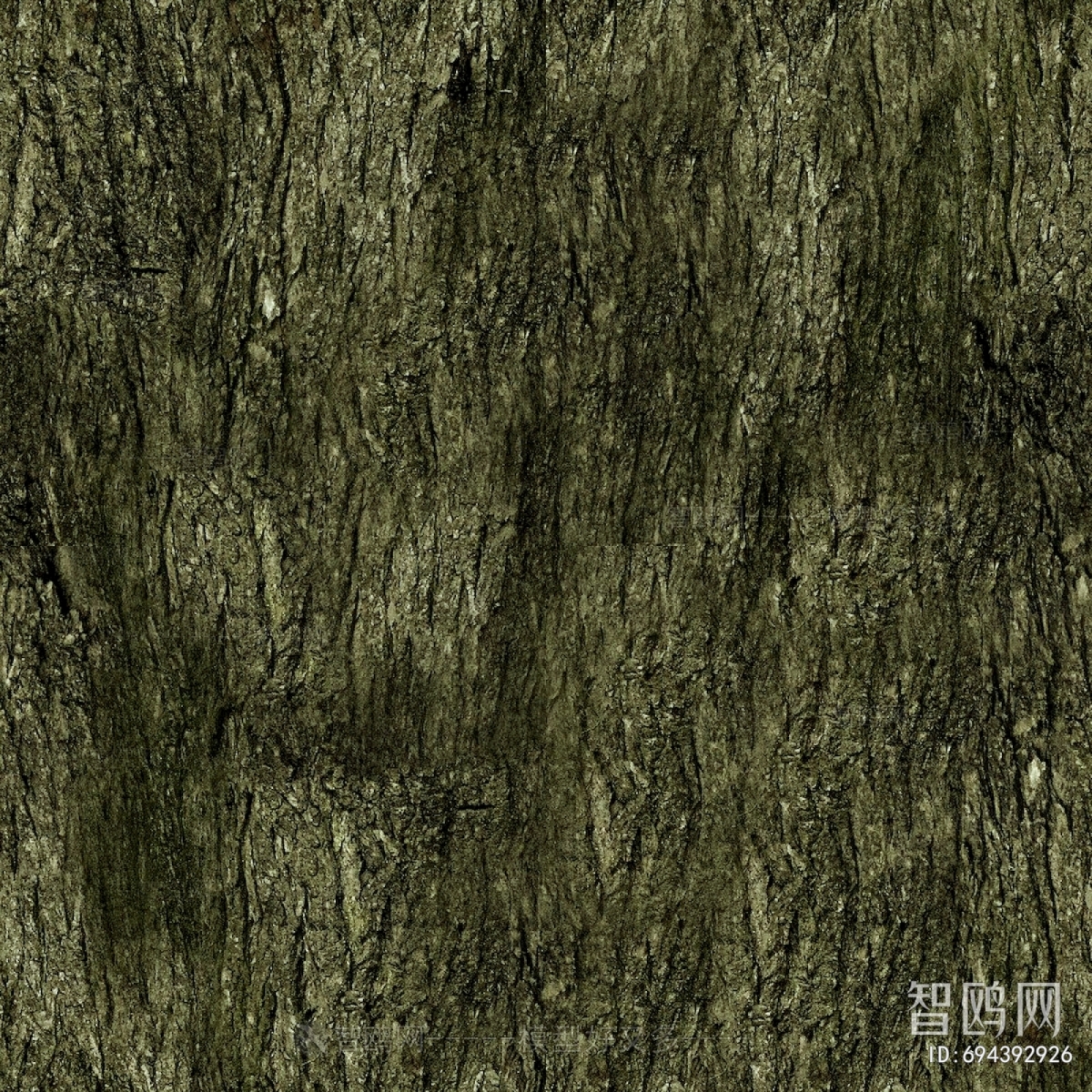 树皮树干表面