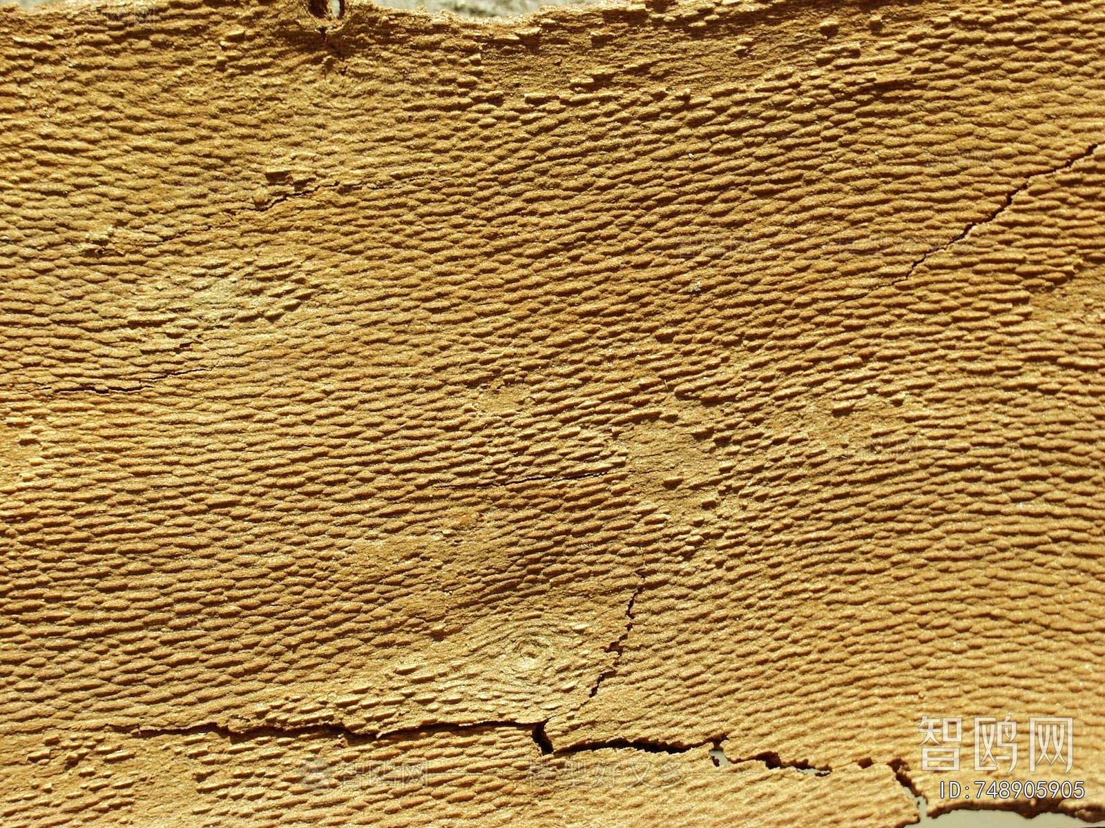 Bark Texture