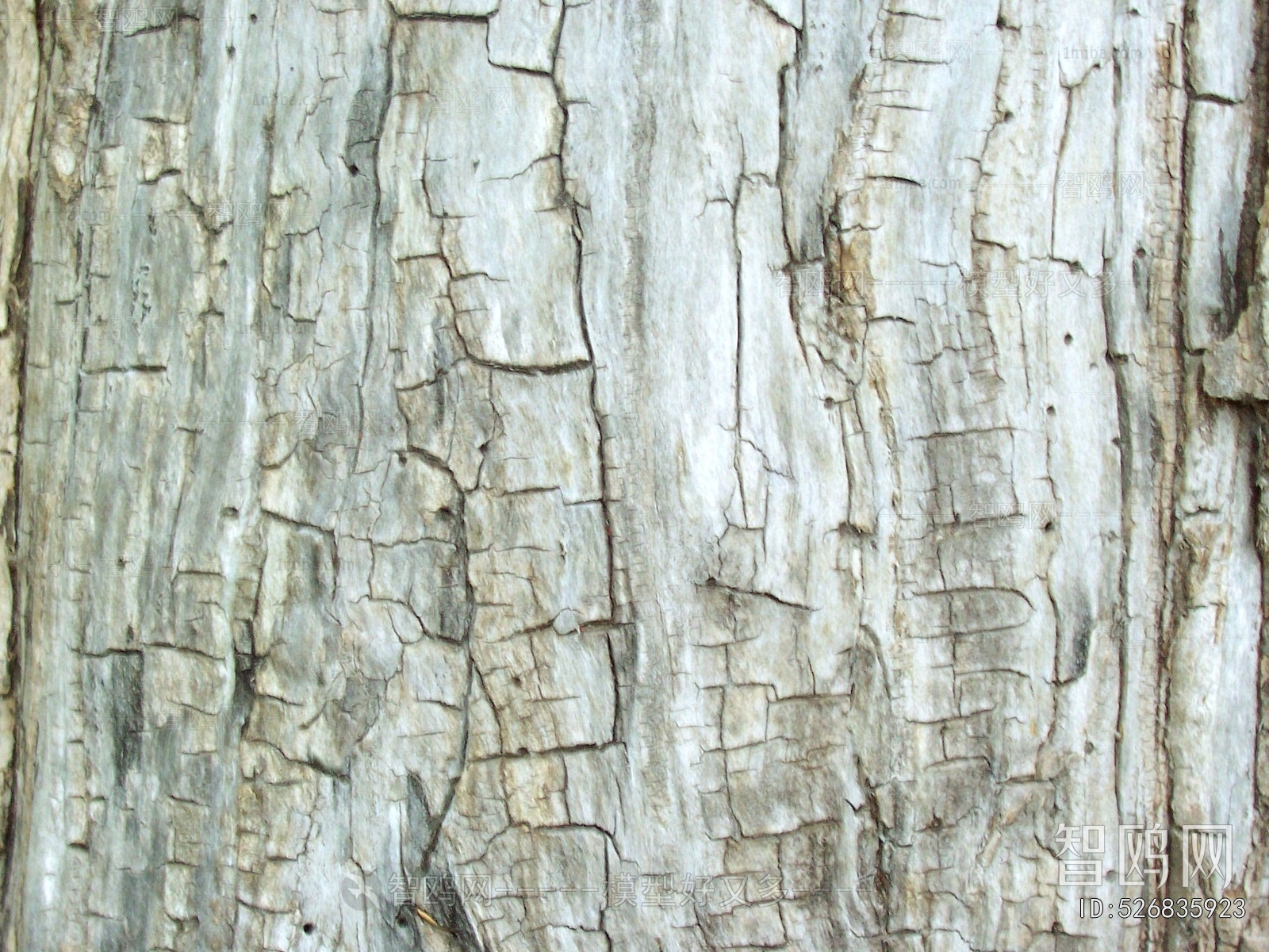 Bark Texture