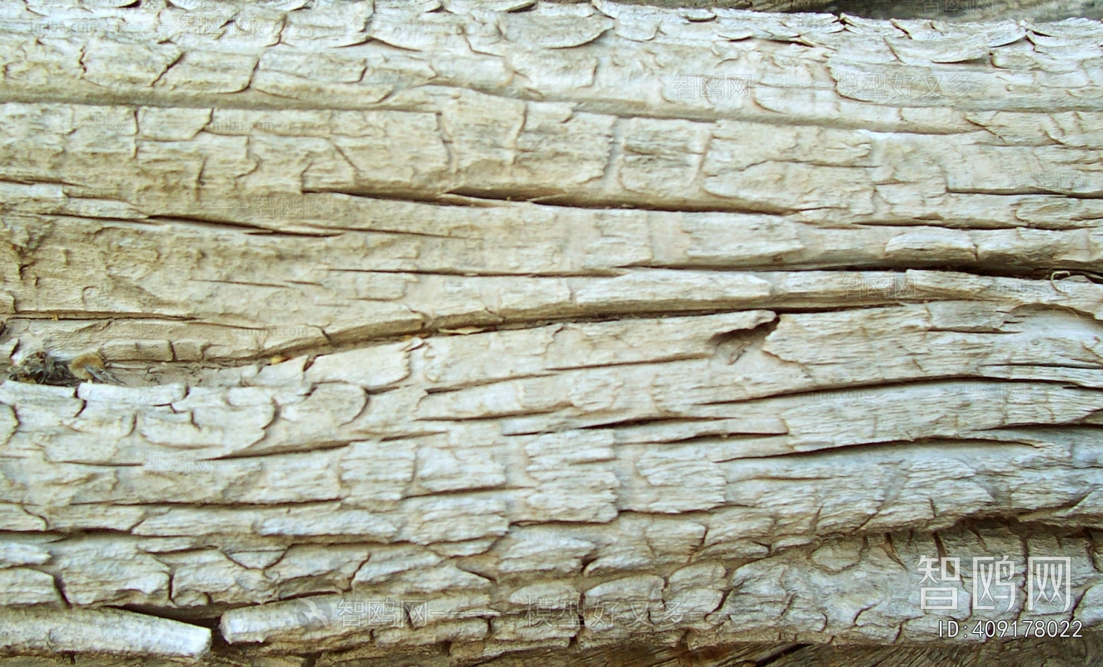 Bark Texture