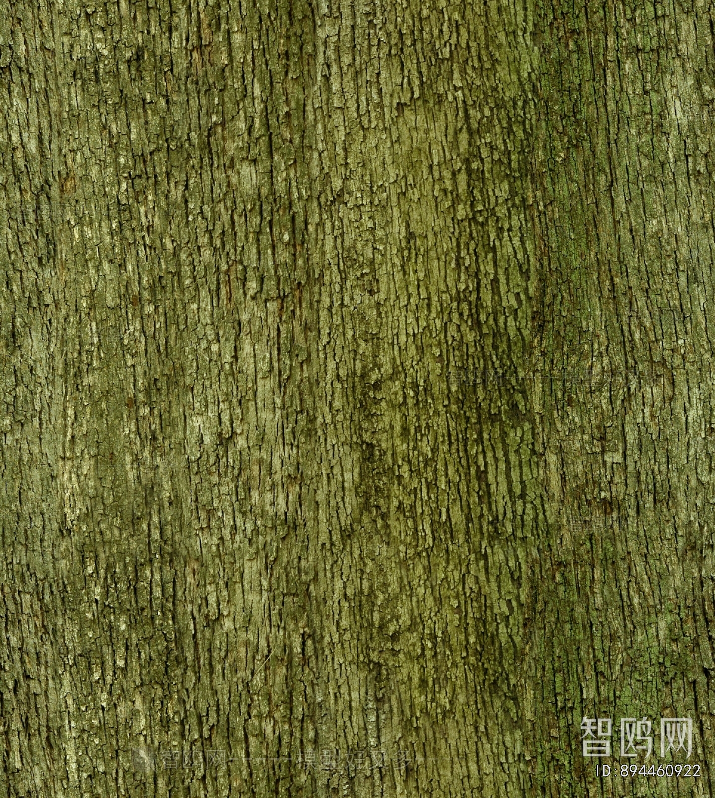 树皮树干表面