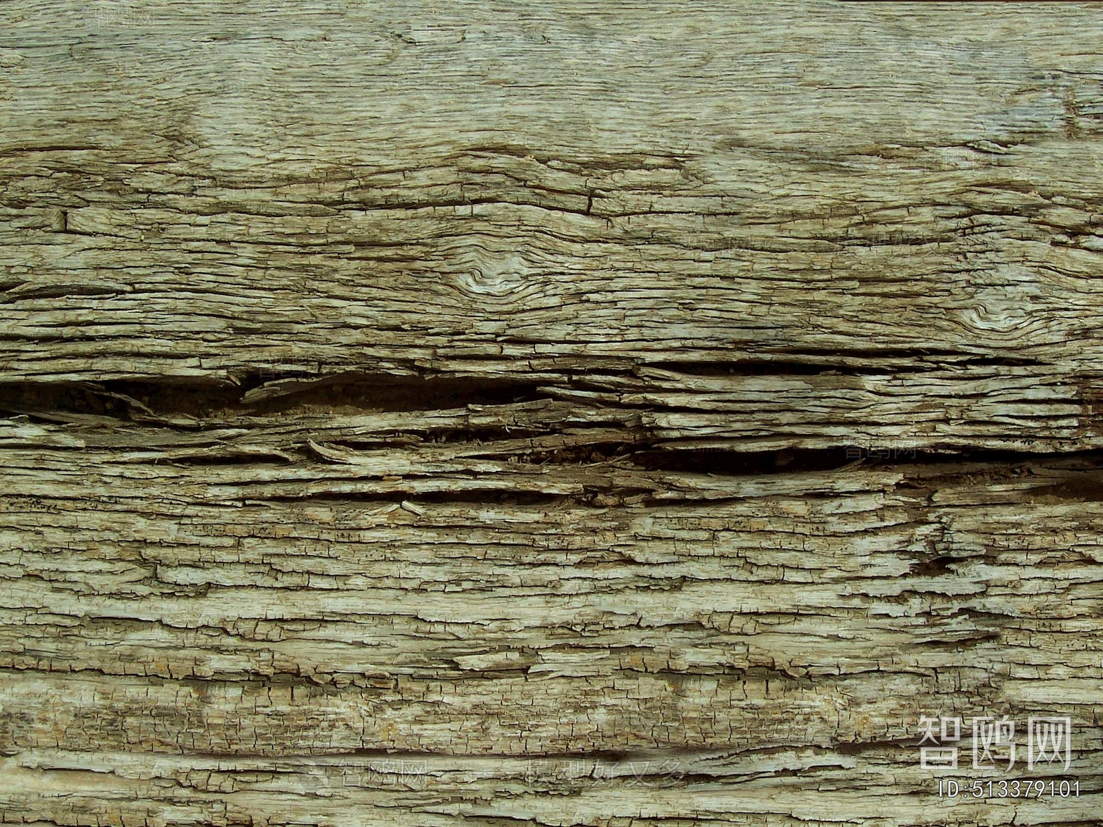 Bark Texture