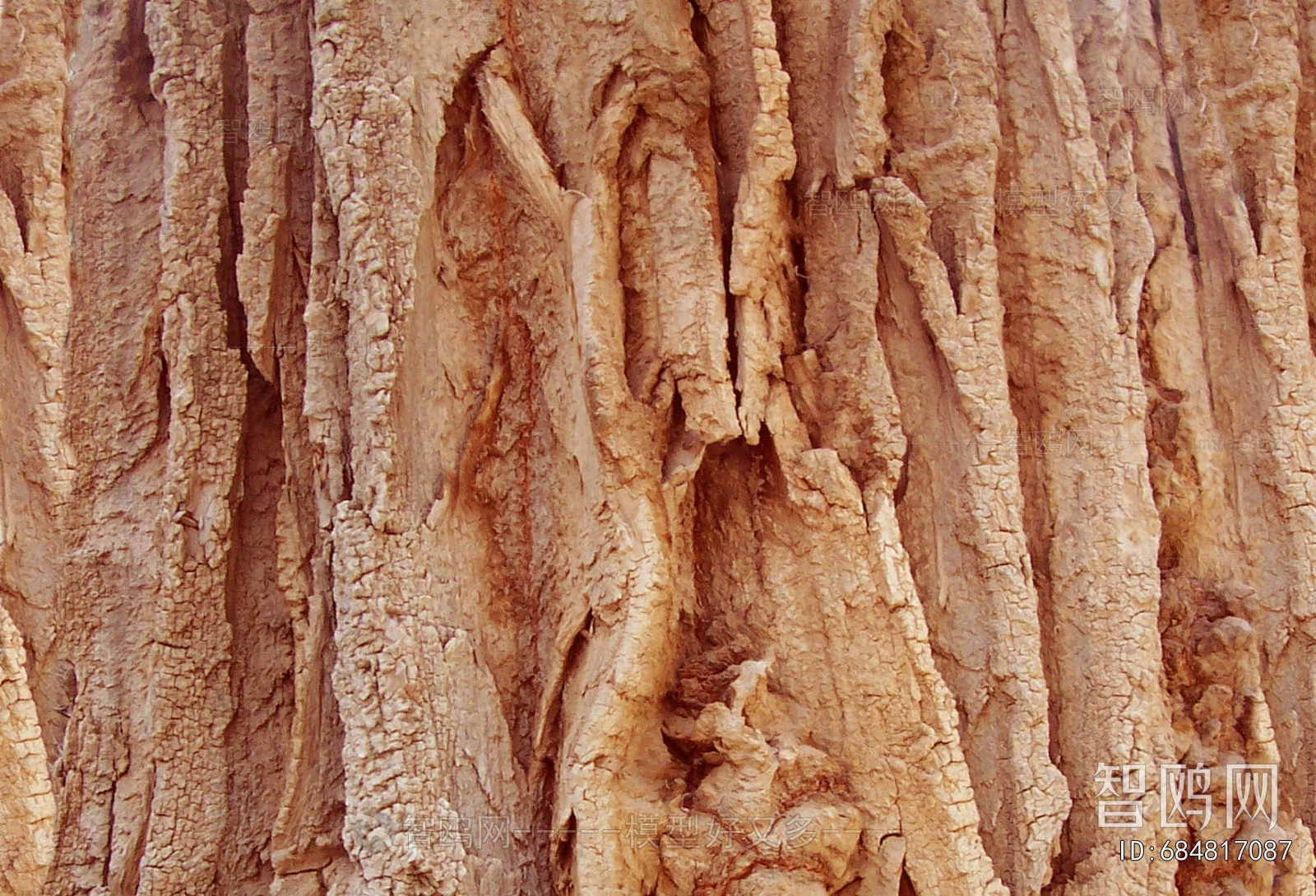 Bark Texture
